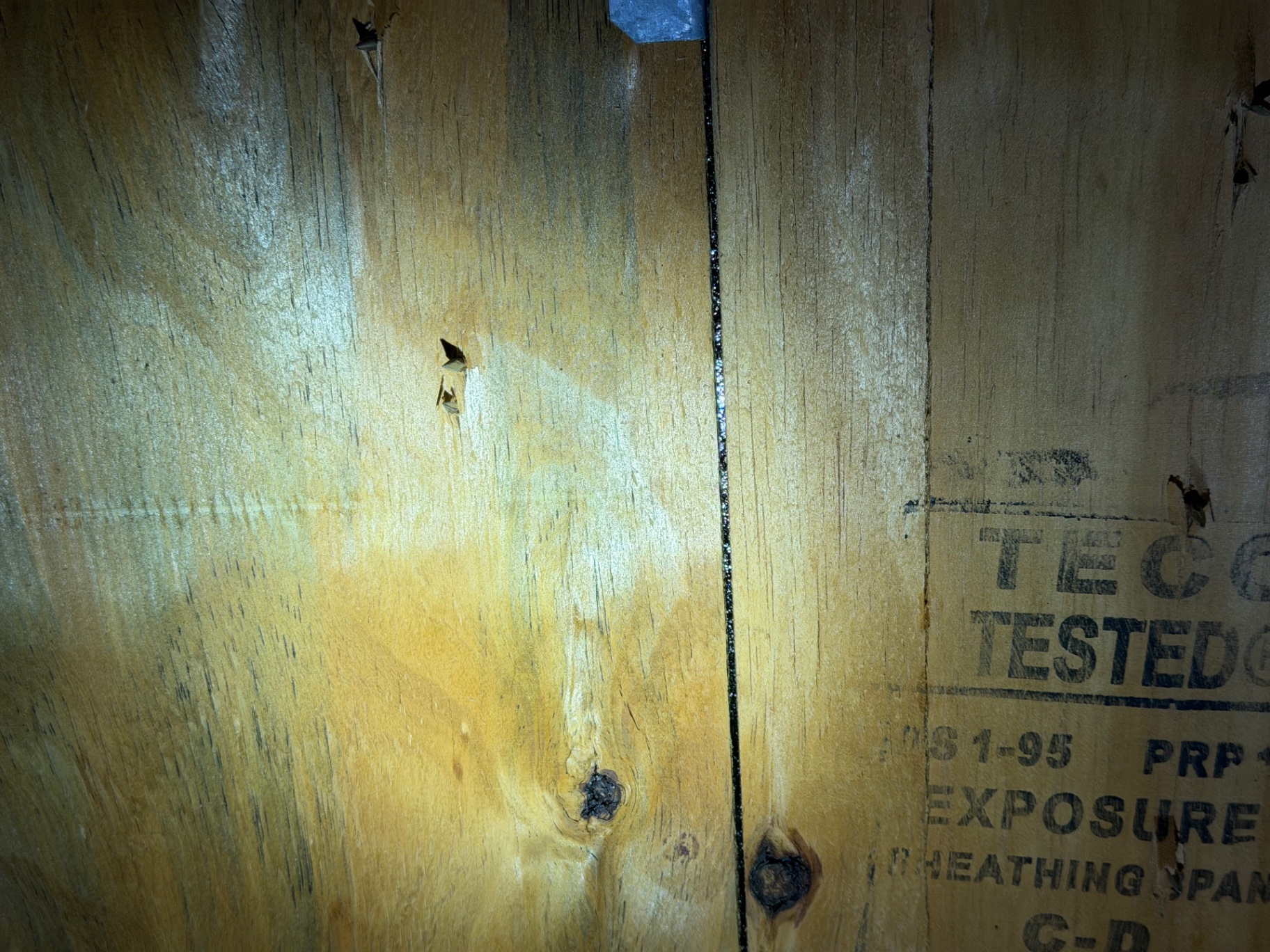 Roof sheathing exposure rating stamp visible in attic